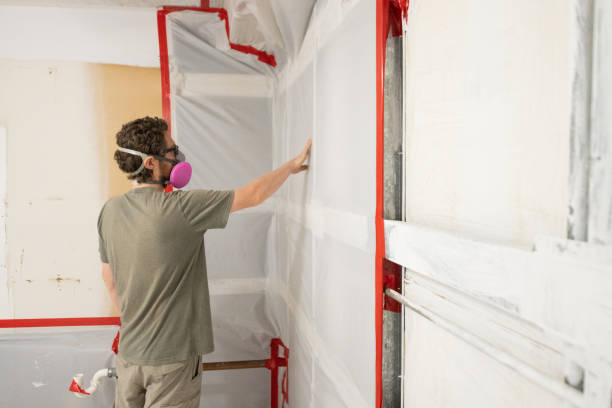 Best Forensic Mold Investigation  in Leisure City, FL