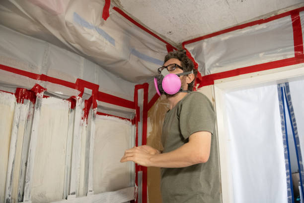 Best Mold Remediation for Healthcare Facilities  in Leisure City, FL