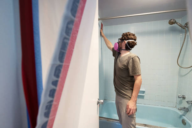 Environmental Consulting for Mold Prevention in Leisure City, FL
