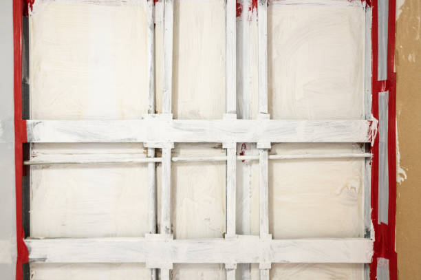 Best Airborne Mold Testing  in Leisure City, FL