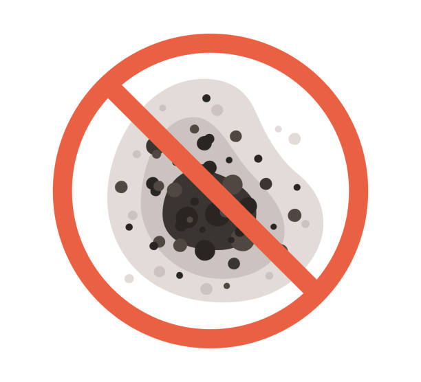  Leisure City, FL Mold Removal Pros